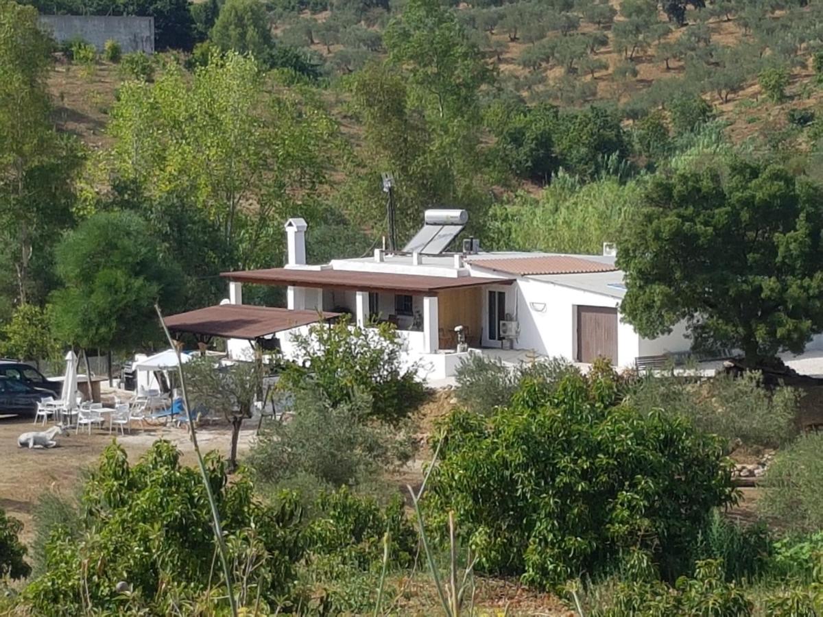 Amandolas Casarabonela Exteriör bild